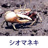 ヒント:はさみがあります