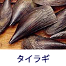 ヒント:貝です